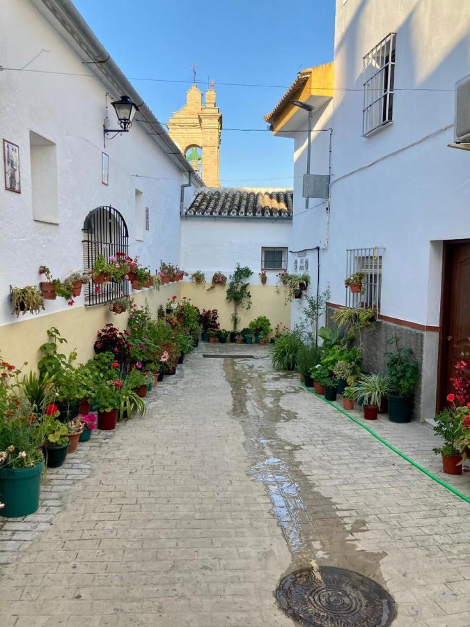 Apartamento Nuevo En Sierra Sur Sevilla ビジャヌエバ・デ・サン・フアン エクステリア 写真