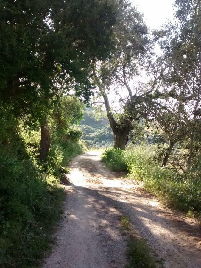 Apartamento Nuevo En Sierra Sur Sevilla ビジャヌエバ・デ・サン・フアン エクステリア 写真